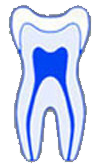 Registered Specialist Endodontists